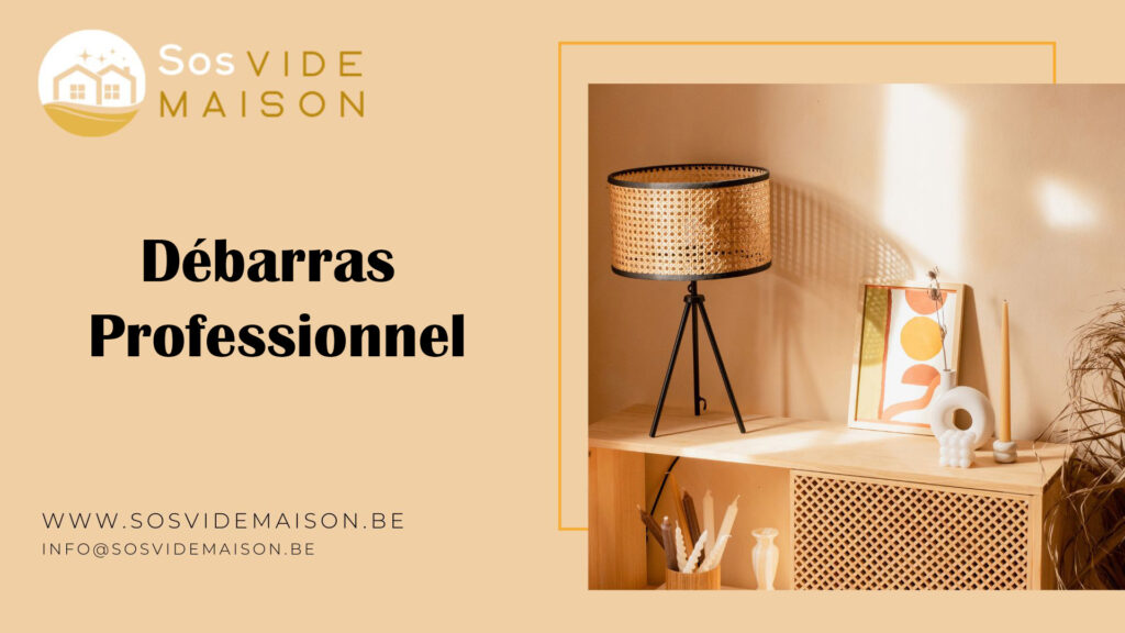 Débarras Professionnel